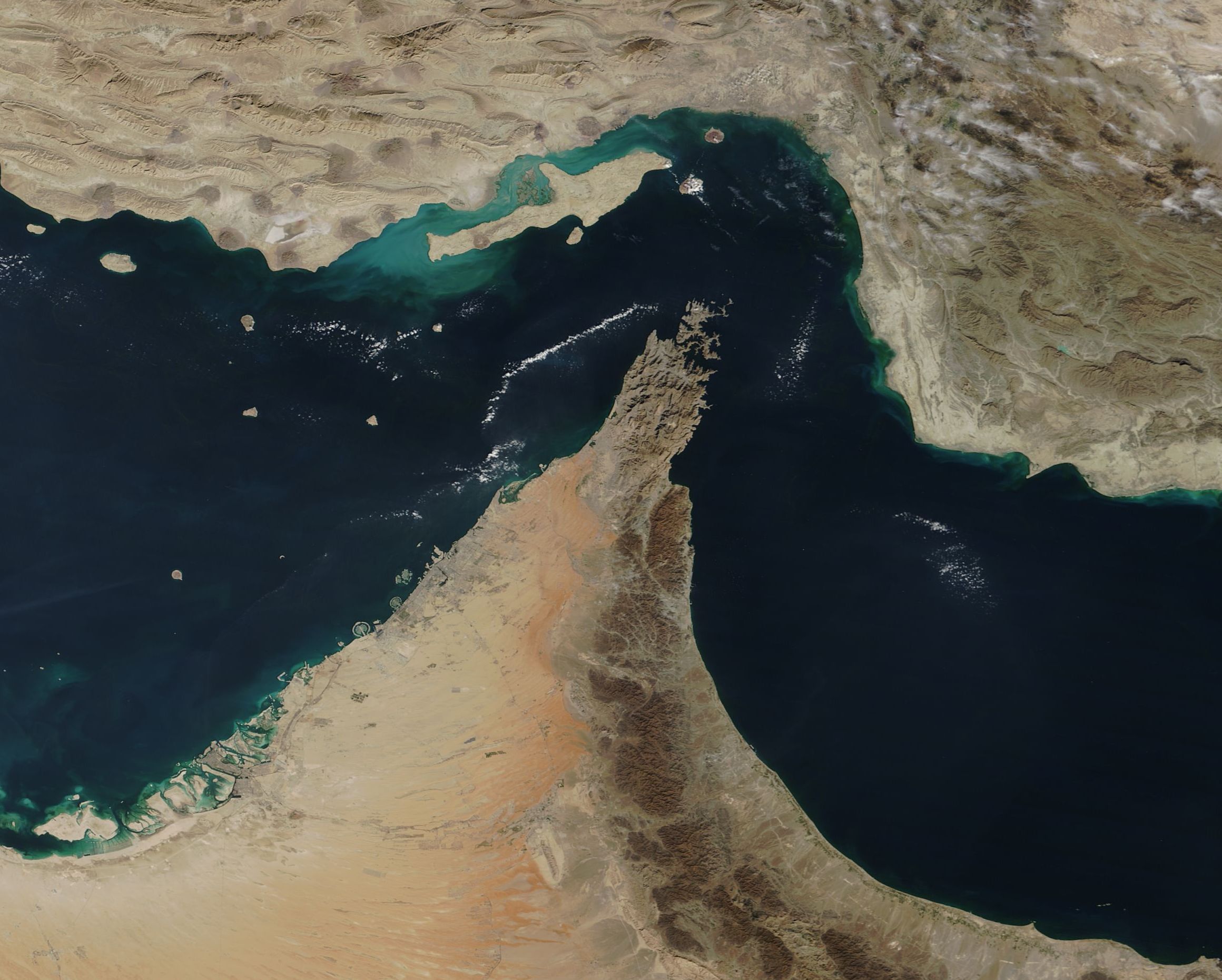 Trend news